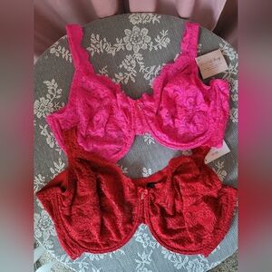 Smart & Sexy Lacy Bra Bundle